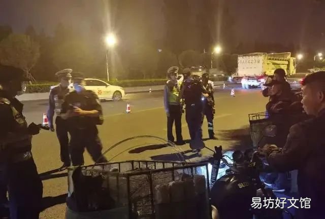 民警在车上发现二级保护动物,交警开展查野生动物