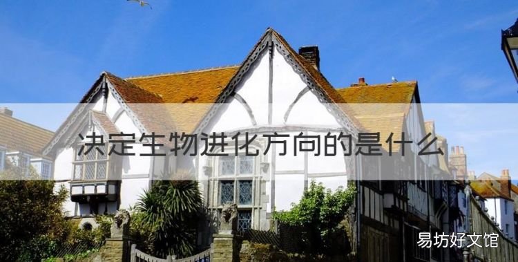 决定生物进化方向的是什么,对生物进化的方向起决定作用的是