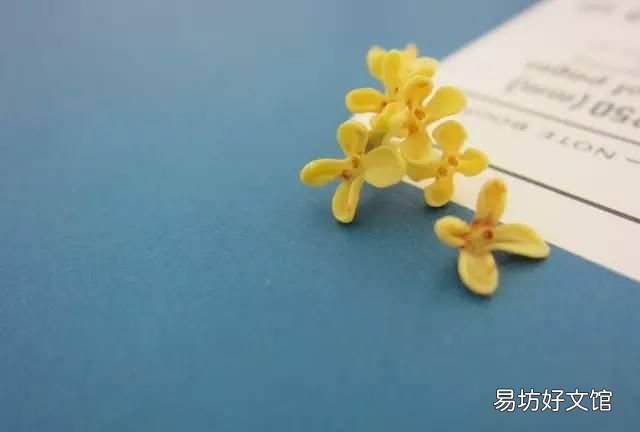 桂花可以做什么甜点,桂花可以做成什么美食