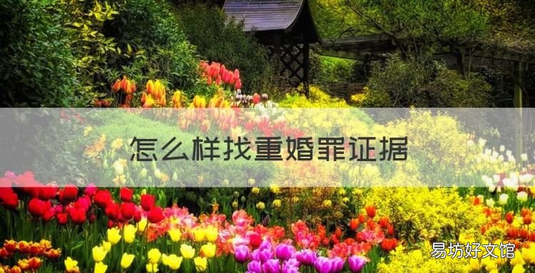 怎么樣找重婚罪證據，怎么才能收集重婚罪的證據