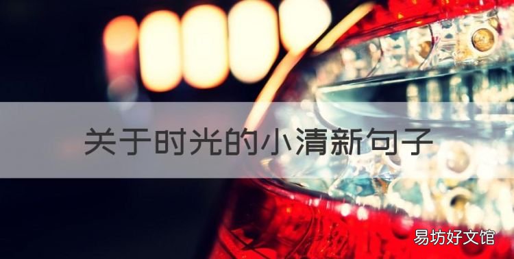 关于时光的小清新句子，花开惊艳了时光唯美句子