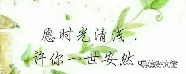 关于时光的小清新句子，花开惊艳了时光唯美句子