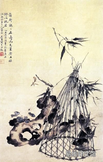 科普:蝙蝠是鳥嗎?蝙蝠到底是飛禽還是走獸