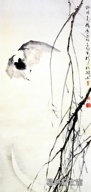 科普:蝙蝠是鳥嗎?蝙蝠到底是飛禽還是走獸
