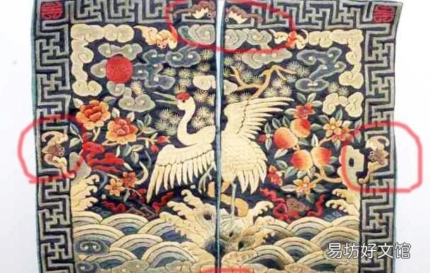 科普:蝙蝠是鳥嗎?蝙蝠到底是飛禽還是走獸