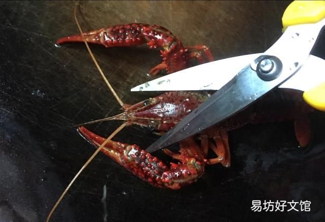 小龙虾公母都有虾黄吗,小龙虾头上的虾黄可以吃吗