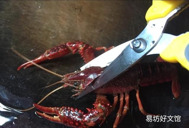 小龙虾公母都有虾黄吗,小龙虾头上的虾黄可以吃吗