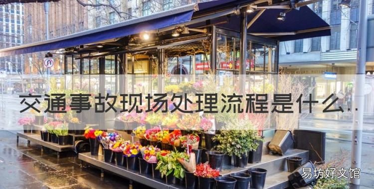 处理交通事故流程都有哪些,交通事故现场处理流程是什么