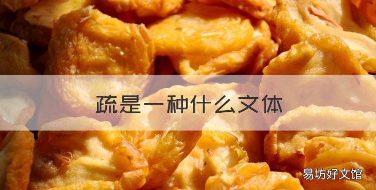 疏是什么文体,疏是一种什么文体