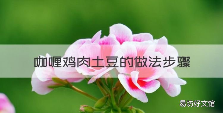 如何做咖喱鸡肉土豆饭，咖喱鸡肉土豆的做法步骤
