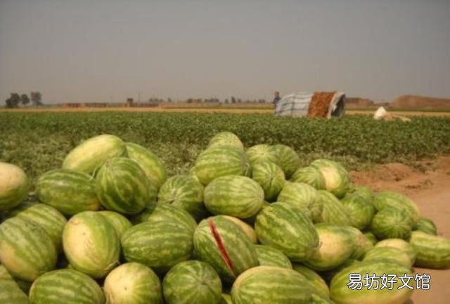 瓜田李下,嫁是不嫁 瓜田李下的故事