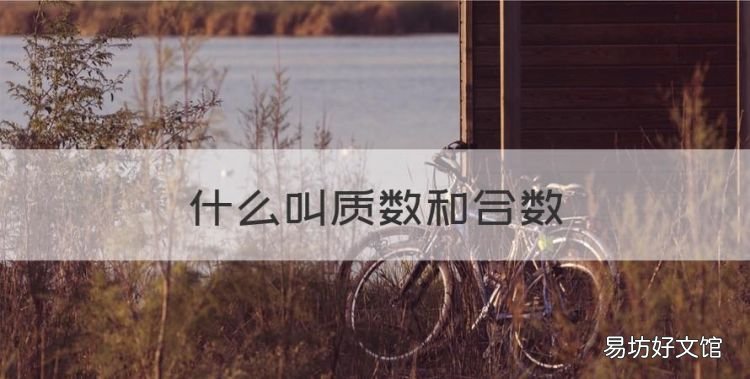 什么叫质数和合数,质数和合数是什么意思