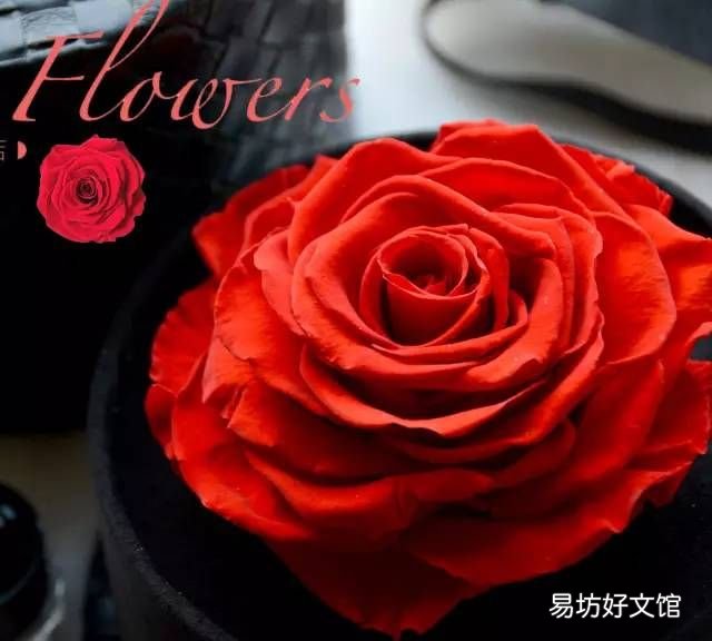 大雁成为古代婚礼信物原因