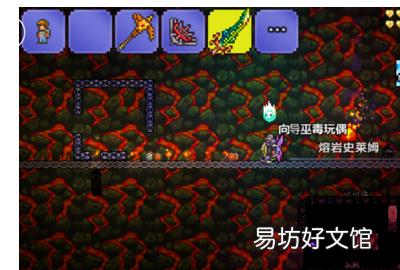 泰拉瑞亚巫毒娃娃怎么得到,泰拉瑞亚服装商巫毒娃娃召唤什么