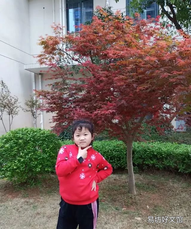 一年级数学分针和时针相遇几次,建阳童姥新校区校徽怎么画