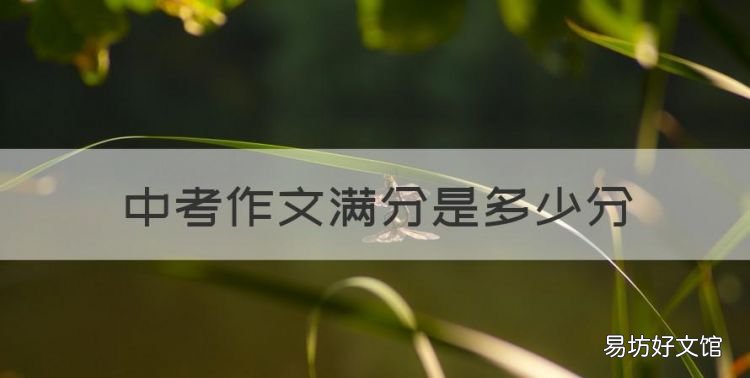中考作文满分是多少分,天津中考语文作文满分多少分钟