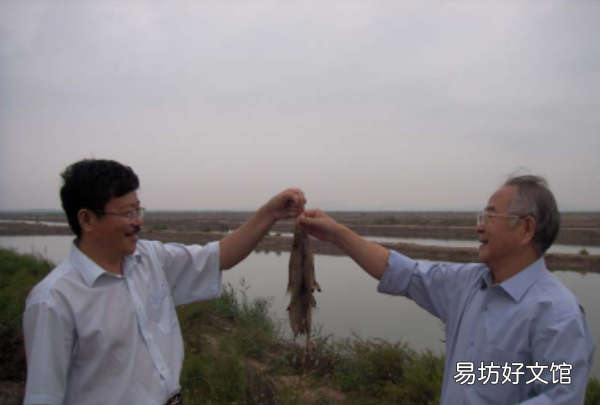 中国人吃的是什么