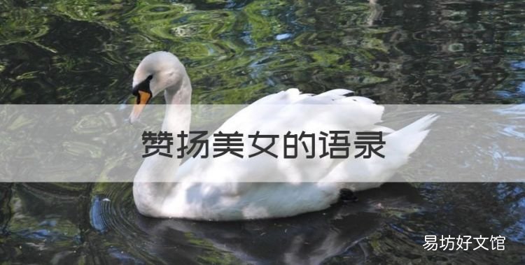 赞扬美女的语录,夸美女漂亮的句子一套一套
