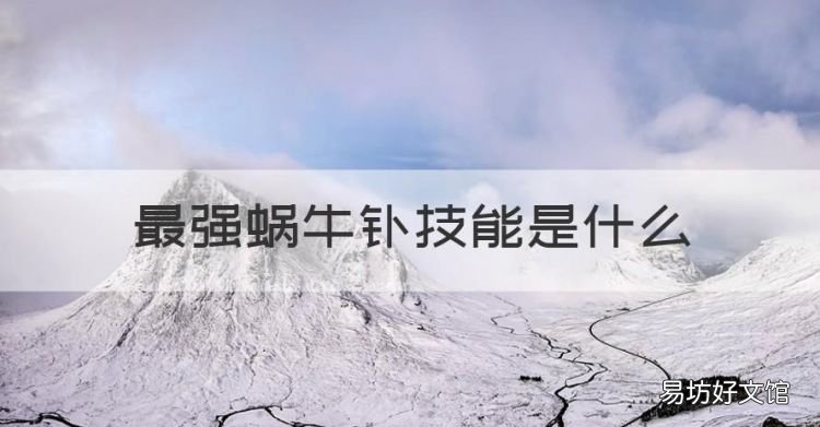 最强蜗牛钋技能是什么,最强蜗牛时空从者升级顺序