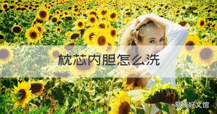 枕芯内胆怎么洗,枕头芯脏了该怎么清洗需要出棉花吗