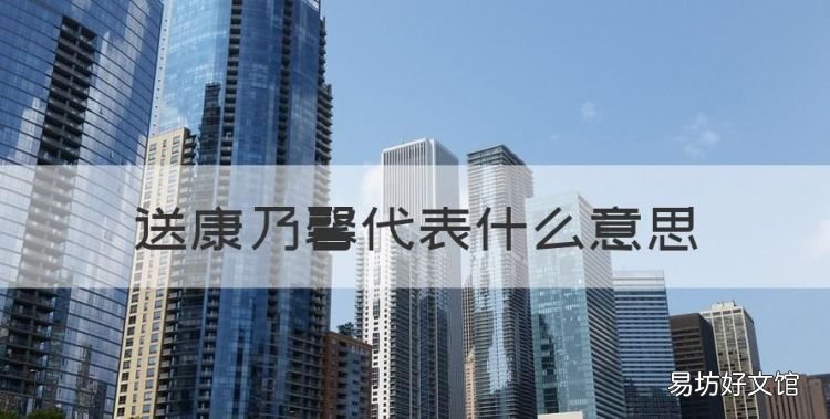 送康乃馨代表什么意思，送康乃馨含义是什么意思