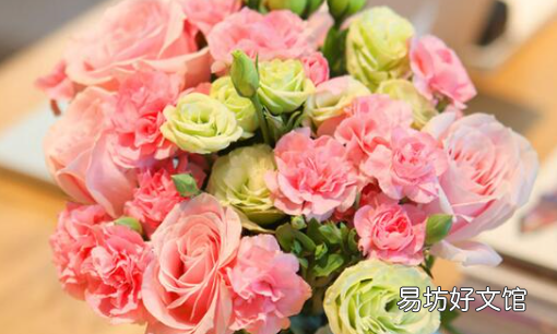 送康乃馨代表什么意思，送康乃馨含义是什么意思