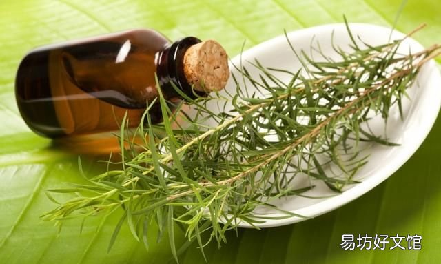 茶树精油使用方法