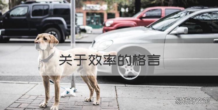 关于效率的格言,关于时间和效率的名言警句