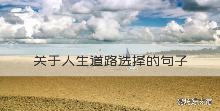 关于人生道路选择的句子