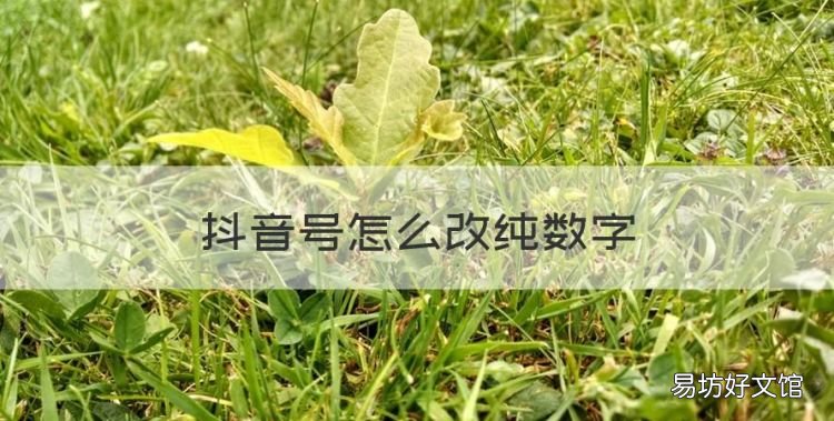 抖音号怎么改纯数字,抖音号怎么改成全数字的呢