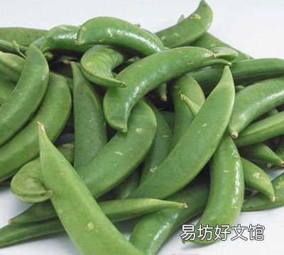 牛奶美白法:养出牛奶肌的秘籍
