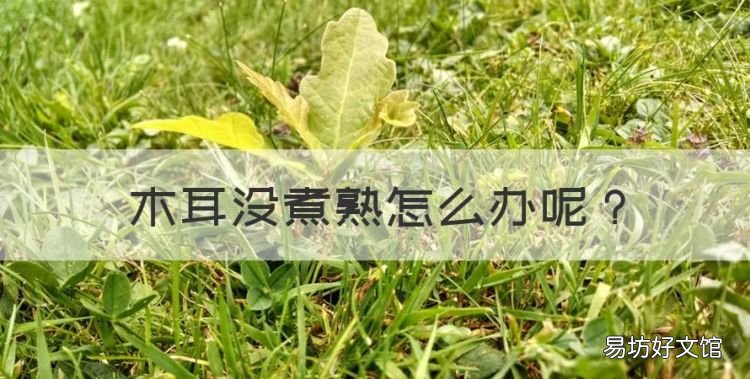 木耳没煮熟怎么办,如果木耳没有炒熟吃了会怎么样呢
