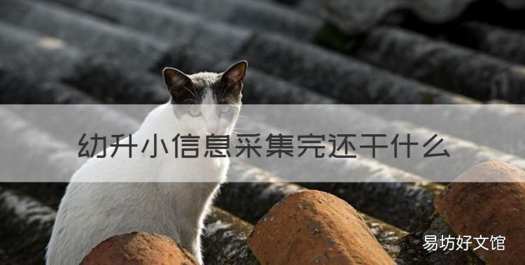 幼升小信息采集完还干什么,关于北京幼升小信息采集的问题有哪些