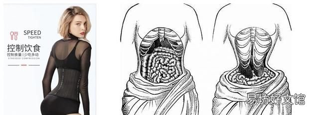 束腰真的能减肥吗