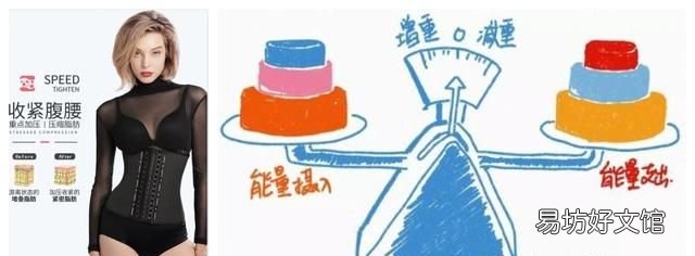束腰真的能减肥吗