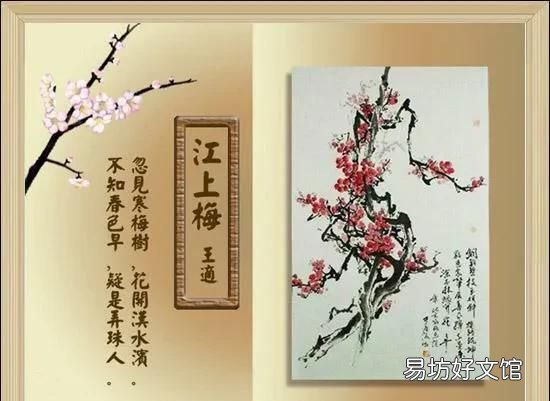 《梅花魂》通过哪几件事表达了外祖父对祖国的思念之情