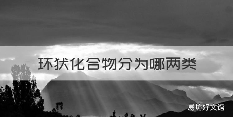 环状化合物分为哪两类,有机化合物的分类方法教学反思