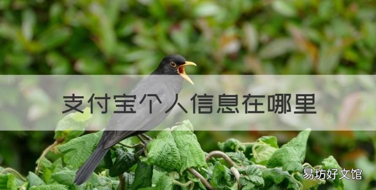 支付宝个人信息在哪里，支付宝自然人登记修改在哪里