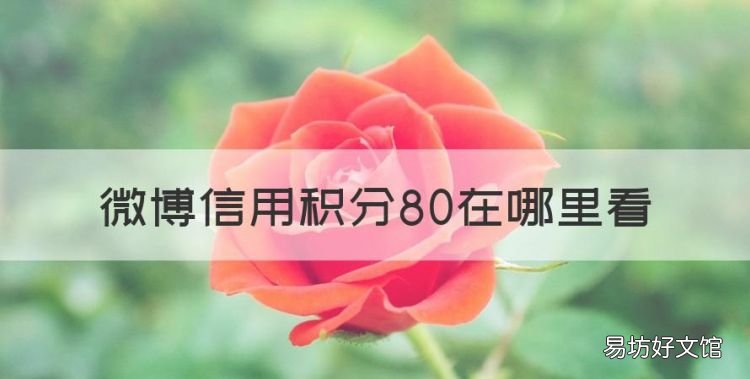 微博信用积分80在哪里看,怎么查看新浪微博的信用积分多少