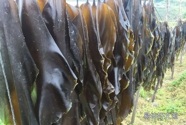 海带排骨汤做法,海带排骨汤的做法最正宗的做法