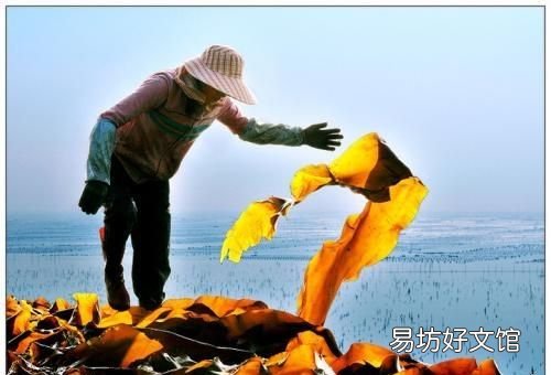 海带排骨汤做法,海带排骨汤的做法最正宗的做法