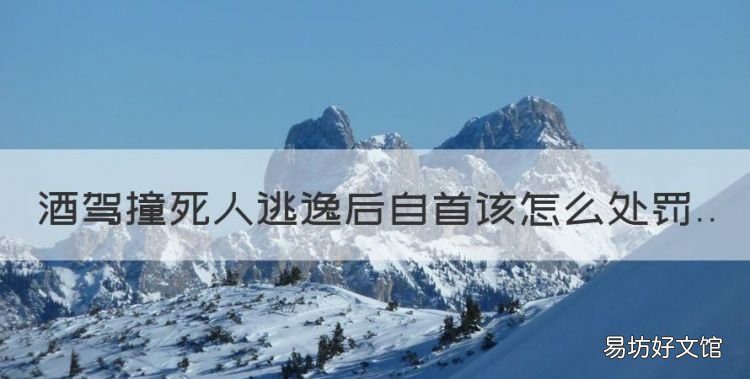 醉驾撞死人逃逸后自首案例,酒驾撞死人逃逸后自首该怎么处罚