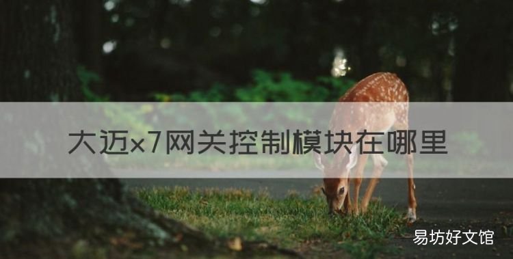 大迈x7闪光器在哪里呀,大迈x7网关控制模块在哪里