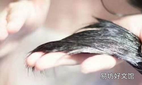 白醋洗头发的正确方法和用量