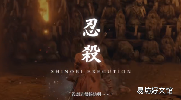 只狼怎么换衣服,只狼 樱露有什么用