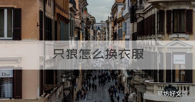 只狼怎么换衣服,只狼 樱露有什么用