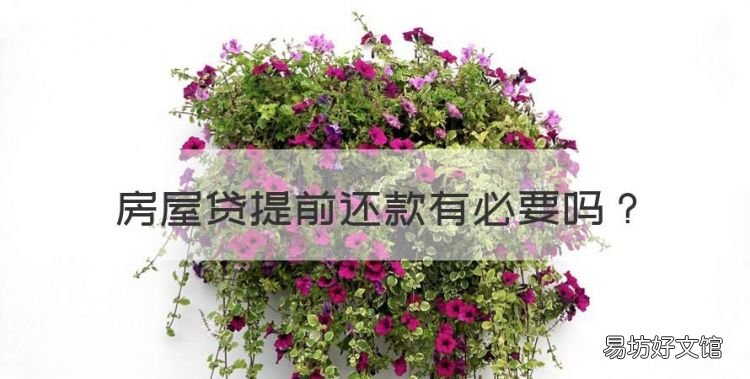 房屋贷提前还款有必要,住房贷款提前还贷划算么 为什么