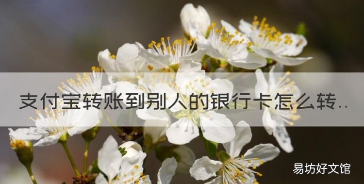 支付宝转账到别人的银行卡怎么转
