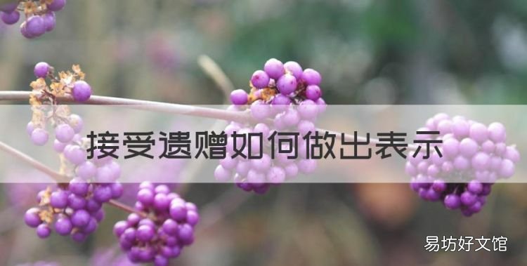 接受遗赠如何做出表示,接受遗赠需要向全体继承人表示吗