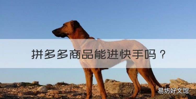 拼多多商品能进快手,快手挂拼多多商品会被罚款没有商品吗